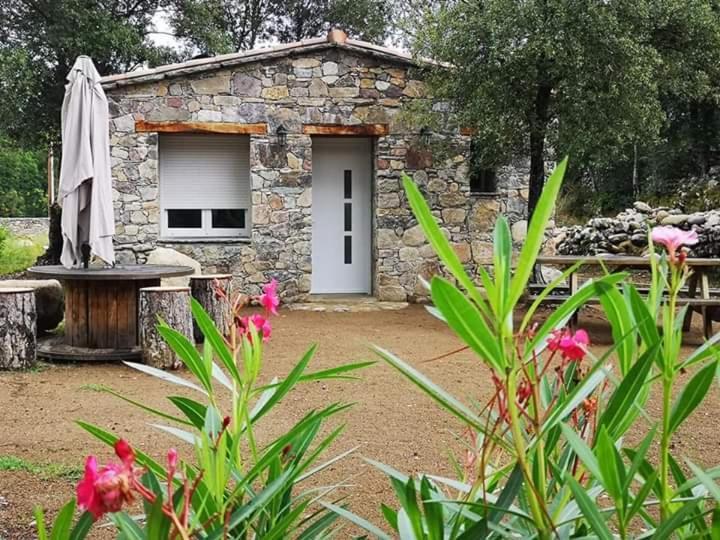 Domaine Rondini Hotel Moltifao Exterior photo