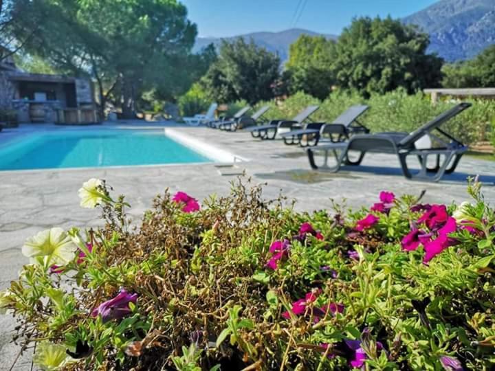Domaine Rondini Hotel Moltifao Exterior photo